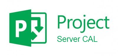 Право на использование (электронно) Microsoft Project Server CAL 2016 Sngl OLP C UsrCAL