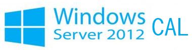  Право на использование (электронно) Microsoft Windows Server CAL 2012 Sngl OLP C User CAL