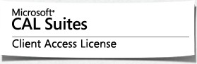  Право на использование (электронно) Microsoft Core CAL (Client Access Lic) All Lang LicSAPk OLV NL Enterprise Device CAL 1 Year