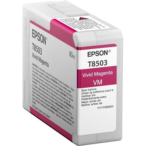  Картридж Epson C13T850300