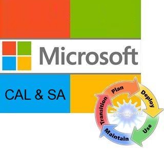  Право на использование (электронно) Microsoft SQL CAL Russian LicSAPk OLP A Government User CAL