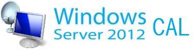  Право на использование (электронно) Microsoft Win Rmt Dsktp Svcs CAL 2012 Sngl OLP NL User CAL