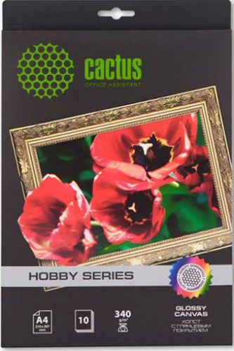  Холст Cactus CS-CGA426010