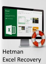  Право на использование (электронный ключ) Hetman Excel Recovery. Офисная версия