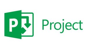  Подписка (электронно) Microsoft Project Online Government