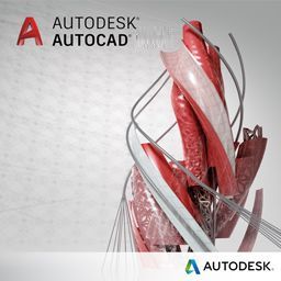  ПО по подписке (электронно) Autodesk AutoCAD Single-user 3-Year Renewal with Basic Support
