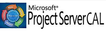  Право на использование (электронно) Microsoft Project Server CAL All Lang LicSAPk OLV NL 1Y AP UsrCAL