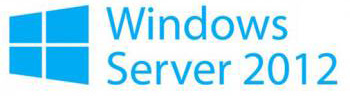  Право на использование (электронно) Microsoft Windows Server CAL 2012 Russian OLP A Government User CAL