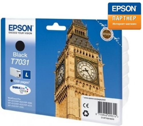  Картридж Epson C13T70314010