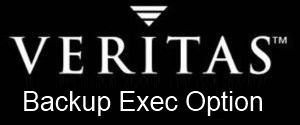  Право на использование (электронно) Veritas Backup Exec Ent Svr Opt Win 1 Svr Onprem Std Lic + Bas Maint Bndl 12Mo Corp