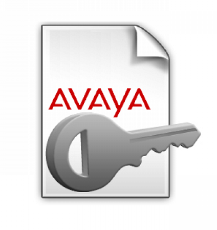  Ключ активации Avaya 171991