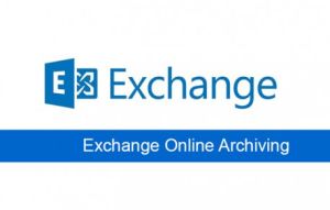  Подписка (электронно) Microsoft Exchange Online Archiving for Exchange Online Government