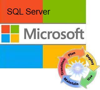  Право на использование (электронно) Microsoft SQL Server Standard Edition Sngl LicSAPk OLV NL 1Y AqY1 AP