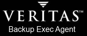  Право на использование (электронно) Veritas Backup Exec Agent Remote Media For Linux Servers Lnx 1 Svr Onprem Std Lic + Bas Maint Bndl