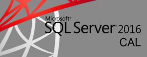  Право на использование (электронно) Microsoft SQL CAL 2016 Sngl OLP NL UsrCAL