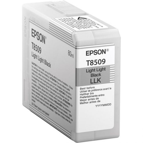  Картридж Epson C13T850900