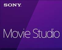  Право на использование (электронный ключ) Sony Movie Studio 13