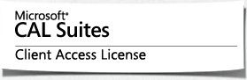  Право на использование (электронно) Microsoft Enterprise CAL All Lng LicSAPk OLV NL Enterprise User CAL w/ Services 1 Year AqY1