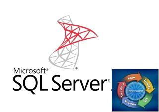  Право на использование (электронно) Microsoft SQL Server Standard Edition Sngl LicSAPk OLP NL