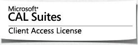  Право на использование (электронно) Microsoft Enterprise CAL Sngl License/SA Pack Open Value 1 License No Level