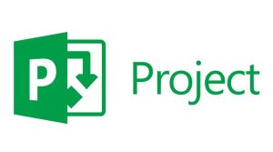 Подписка (электронно) Microsoft Project Lite Government