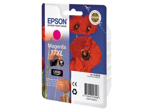  Картридж Epson C13T17134A10