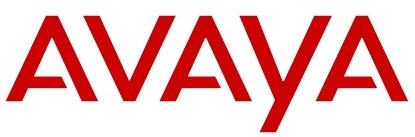  Шнур Avaya 700429707