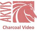 Akvis Charcoal Video Pro