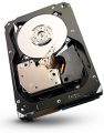 Seagate ST3300657SS