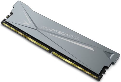 Модуль памяти DDR4 16GB Biwintech B14BUAG53016ERGAL#A DX500 PC4-24000 3000MHz CL16 1R*8 1.2V gray with heatsink