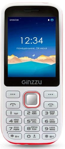 Мобильный телефон Ginzzu M201