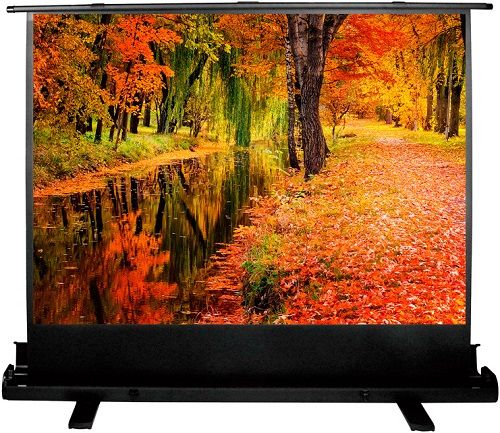 

Экран Cactus CS-PSFLE-200X150, CS-PSFLE-200X150