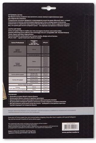 Холст Cactus CS-СA426010