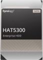 Synology HAT5300-8T