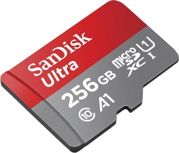 

Карта памяти 256GB SanDisk SDSQUA4-256G-GN6MN microSDXC UHS-I Class 1 (U1), Class 10, SDSQUA4-256G-GN6MN