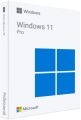 Microsoft Windows 11 Pro 64Bit Russian 1pk DSP OEI DVD