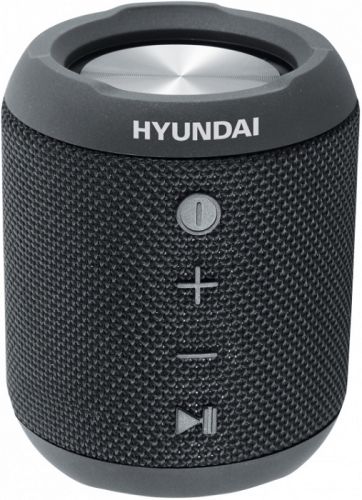 Портативная акустика Hyundai H-PAC300 - фото 1
