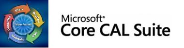 Microsoft core. Microsoft Core cal. КТРУ базовый пакет по Microsoft: DSKTPSCHOOL alng LICSAPK MVL. WINRMTDSKTPSRVCSSAL alng LICSAPK MVL, право на испо. DSKTPSCHOOL alng LICSAPK MVL ООО Техно сервис.