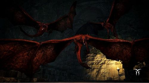 Право на использование (электронный ключ) Capcom Dragon's Dogma : Dark Arisen