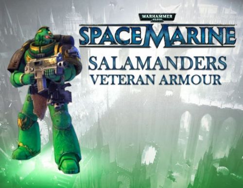 Право на использование (электронный ключ) SEGA Warhammer 40,000 : Space Marine - Salamanders Veteran Armour Set DLC