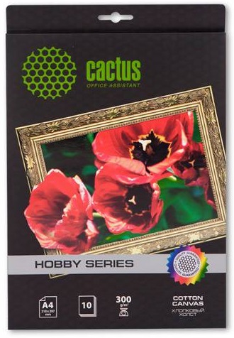 Холст Cactus CS-СA426010 534₽