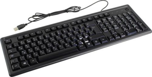 Клавиатура HP 100 2UN30AA черная, USB