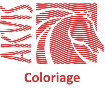 Право на использование (электронно) Akvis Coloriage Home Standalone