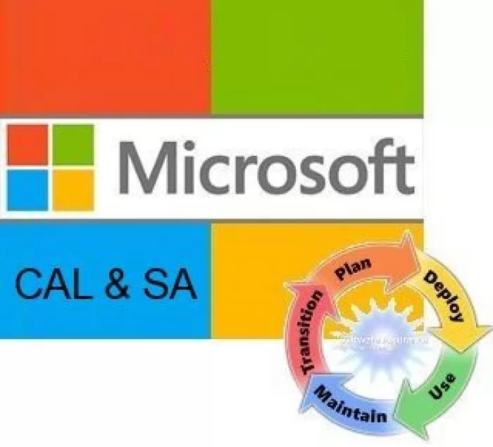Microsoft Windows Server CAL Sngl LicSAPk OLV NL 1Y AqY1 AP UsrCAL