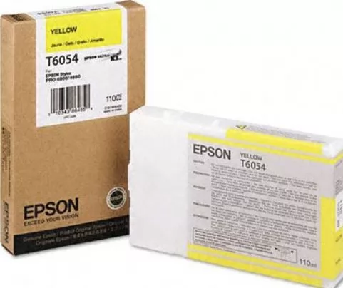 Epson C13T605400
