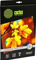 Cactus CS-SGA426020
