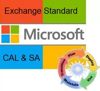Microsoft Exchange Standard CAL Sngl LicSAPk OLV NL 1Y AqY1 AP UsrCAL
