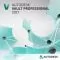 Autodesk Vault Professional 2017 Multi-user 2-Year with Basic Support