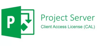 Microsoft Project Server CAL 2019 Sngl OLP NL DvcCAL