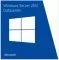 Microsoft Windows Server Datacenter Sngl SA OLP NL 2Proc Qlfd